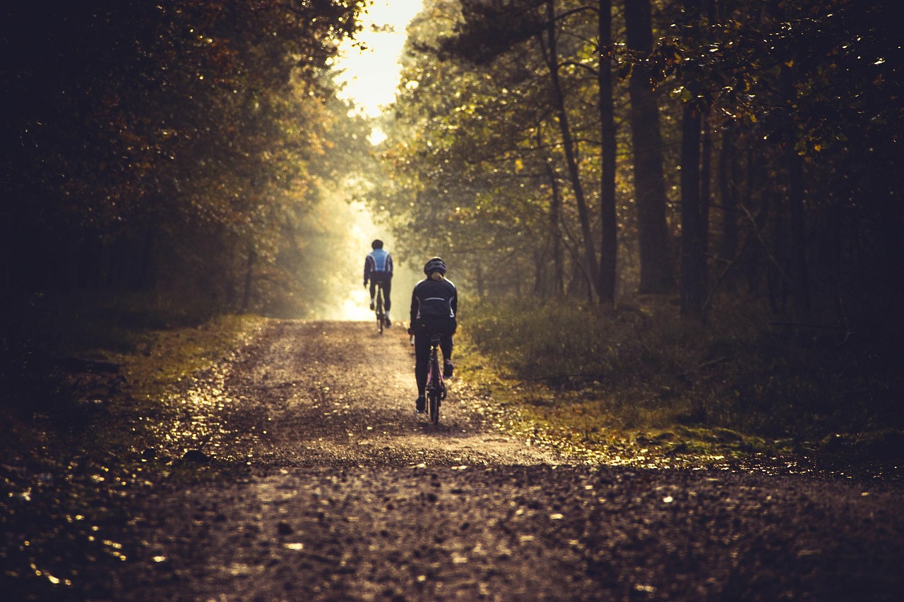 Objevte cyklistiku naplno: od silnic přes kros až do terénu